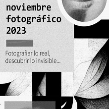 Noviembre fotográfico