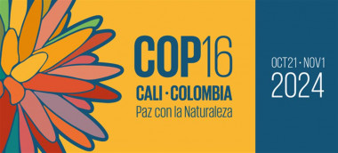 Cuba presentar√° Programa Nacional sobre Diversidad Biol√≥gica en COP16