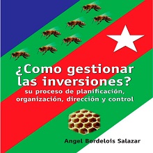 ¬øC√≥mo gestionar las inversiones? Su proceso de planificaci√≥n, organizaci√≥n, direcci√≥n y control