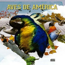 Multimedia Aves de Am√©rica